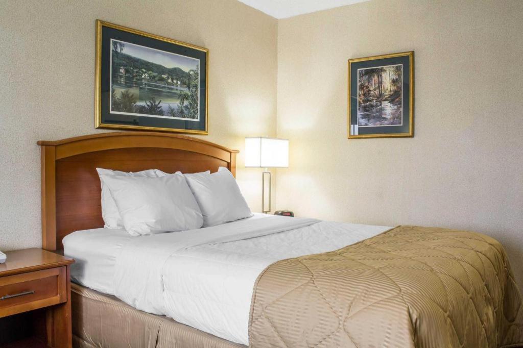 Lifestyle Inn Cedar Falls Esterno foto